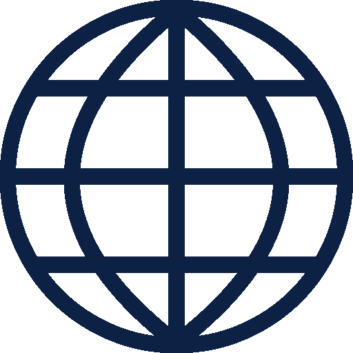 Global flag icon